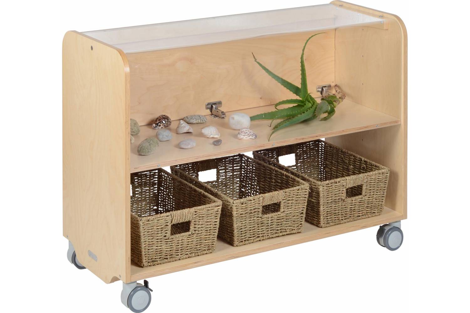 Science Display Station wooden